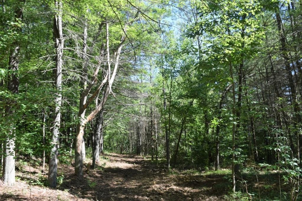 Lot 9 Lee Road Ware, MA 01082 - Photo 2 of 5 Gallery Image 2