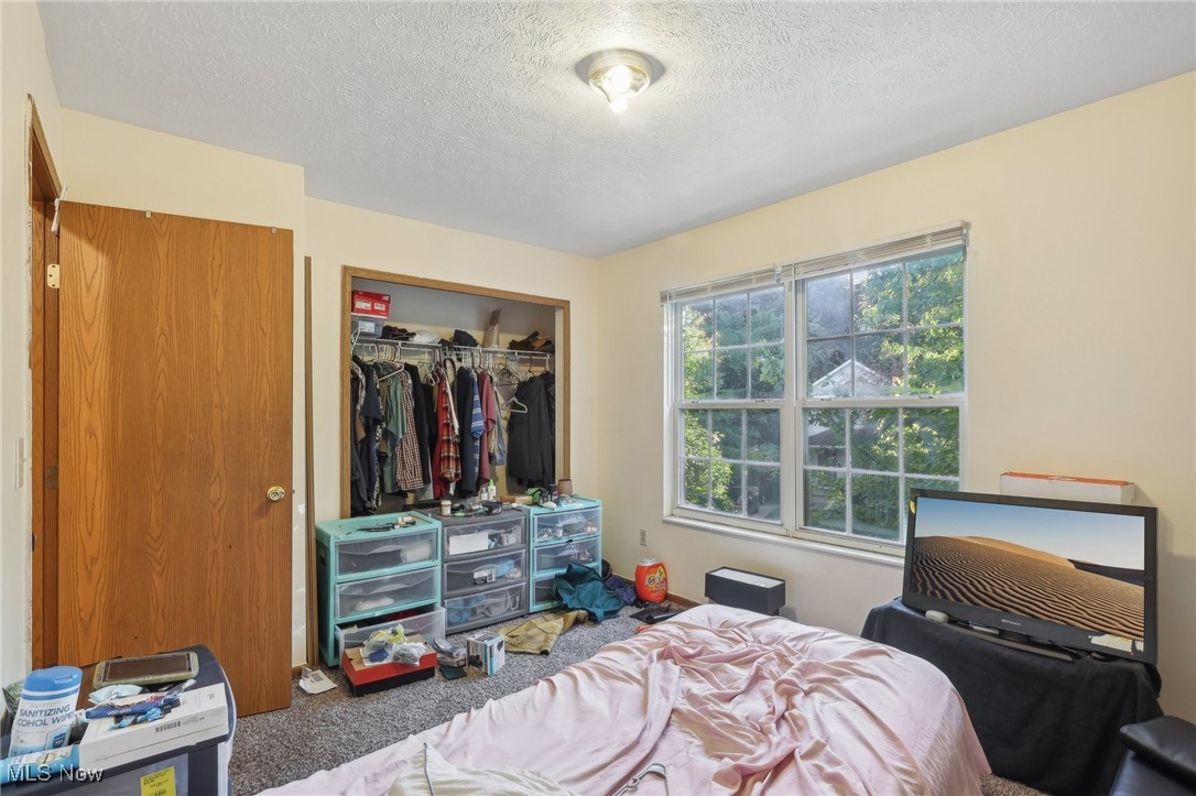 1042 Ansel Road Cleveland, OH 44103 - Photo 27 of 36 Bedroom featuring a textured ceiling, carpet floors, and a closet