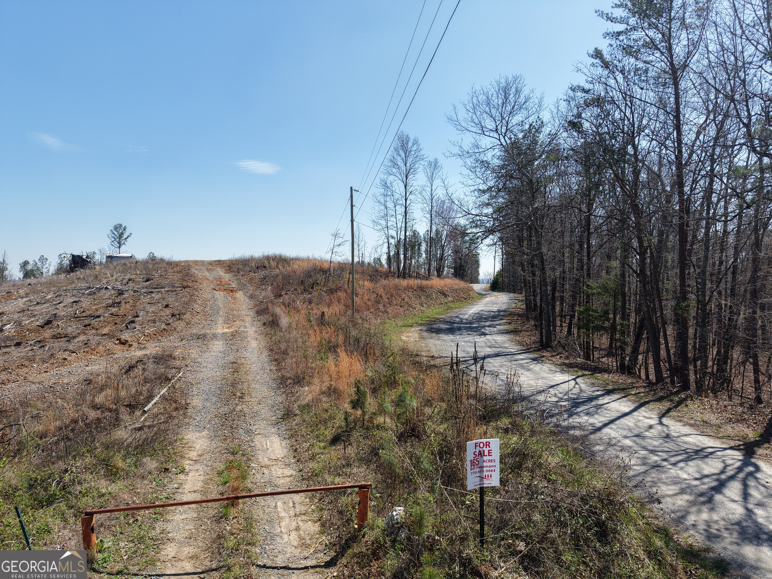 0 Angel Road, Unit 7206 PARCEL E Fairmount, GA 30139 - Photo 5 of 34 a view of outdoor space and tree