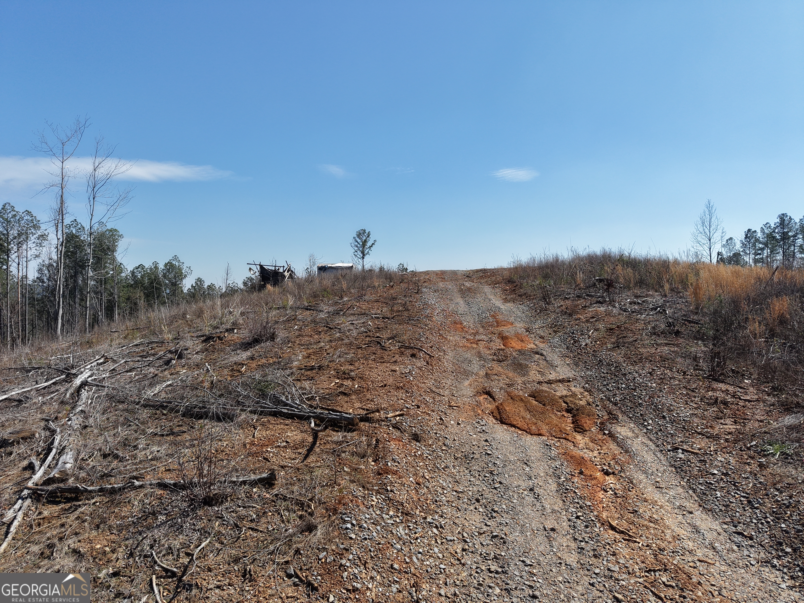 0 Angel Road, Unit 7206 PARCEL E Fairmount, GA 30139 - Photo 8 of 34 a view of a dry field with trees in background