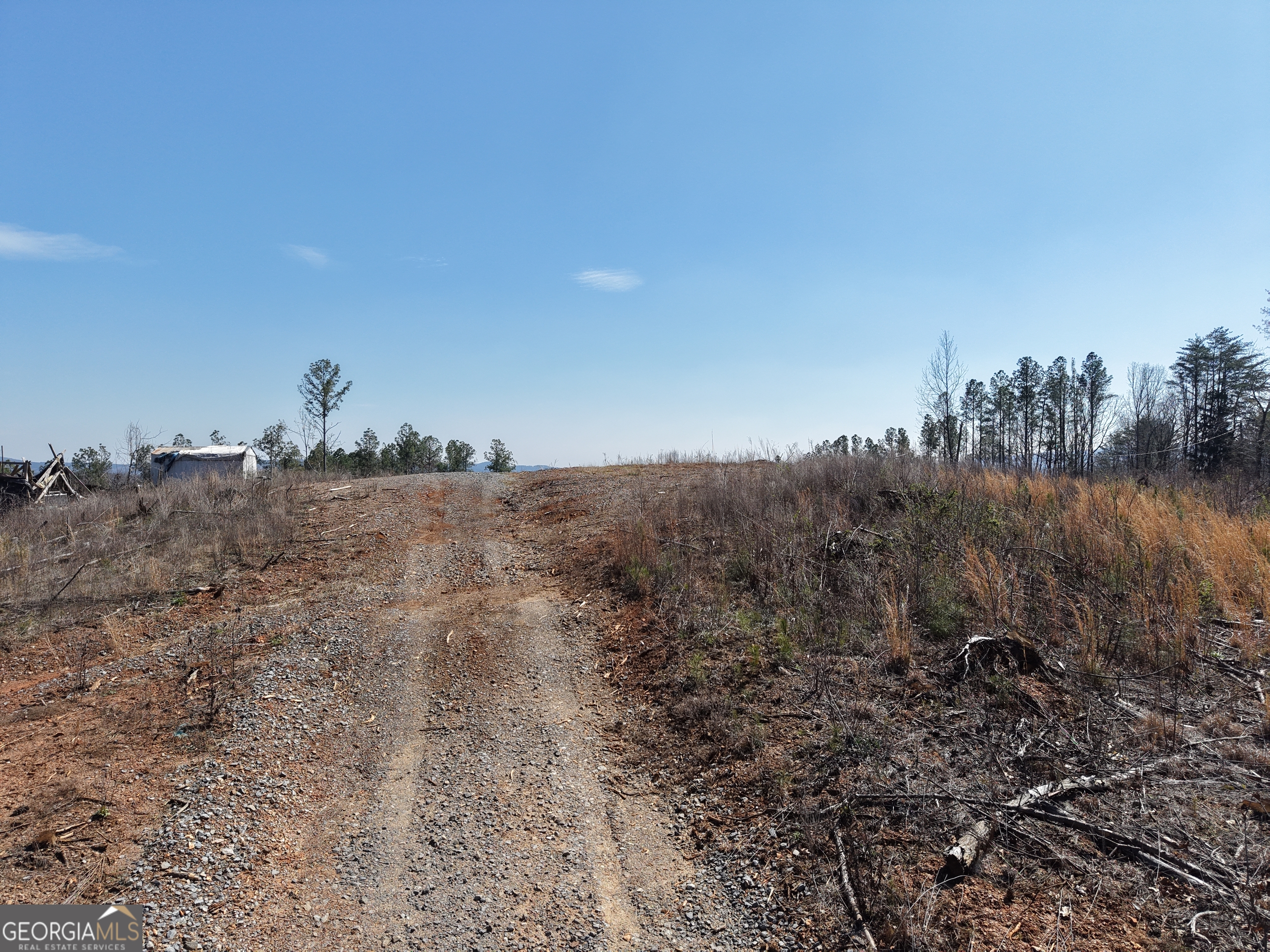 0 Angel Road, Unit 7206 PARCEL E Fairmount, GA 30139 - Photo 9 of 34 a view of a dry field with trees in the background
