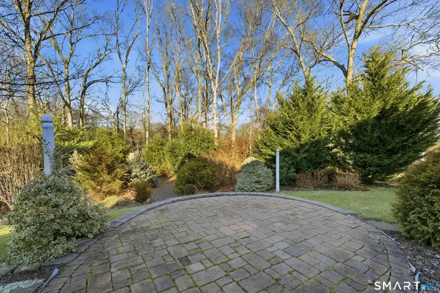 a view of a yard with plants and trees