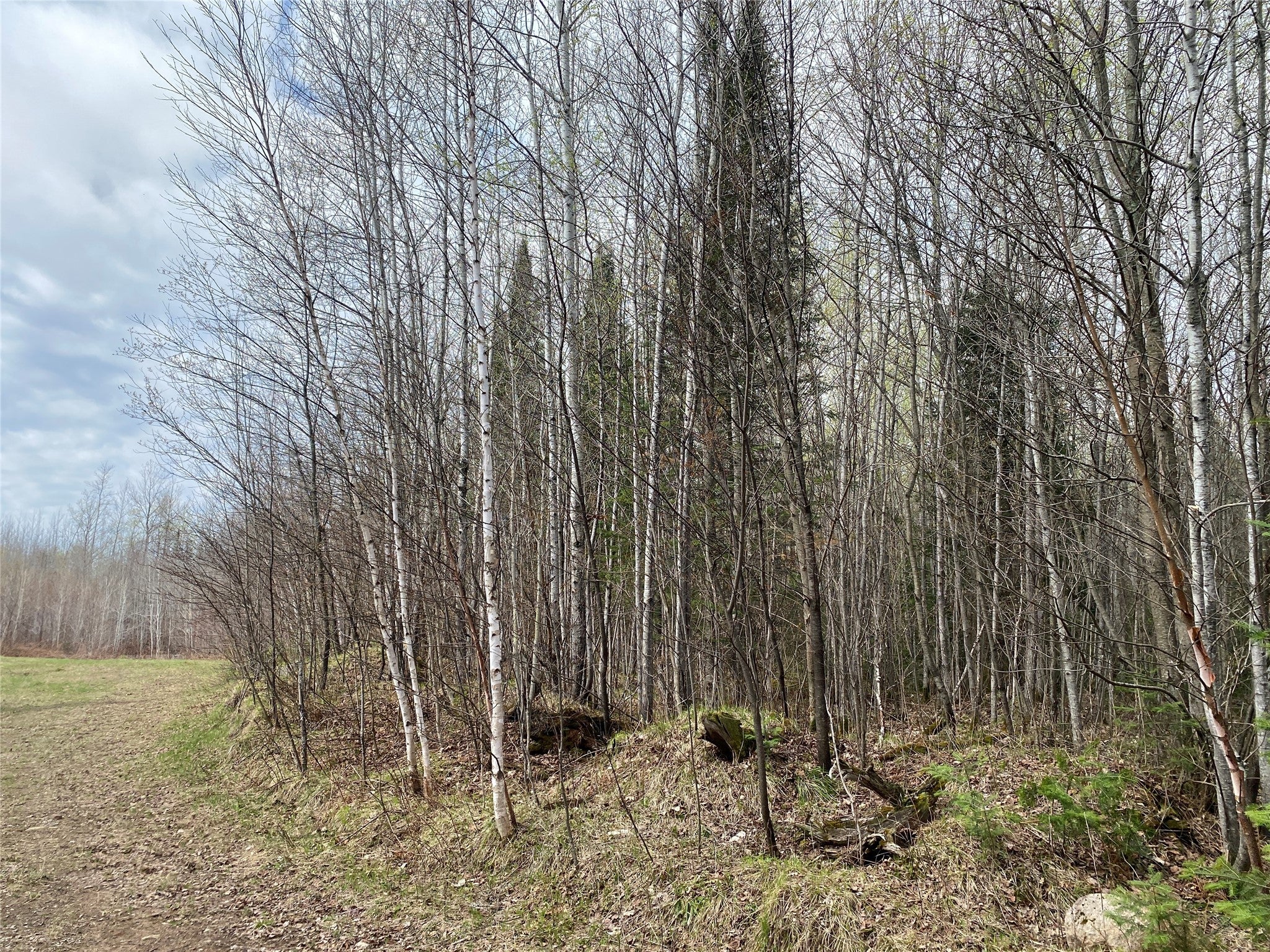 Near Wilson Lake Road Phillips, WI 54555 - Photo 2 of 6 Gallery Image 2