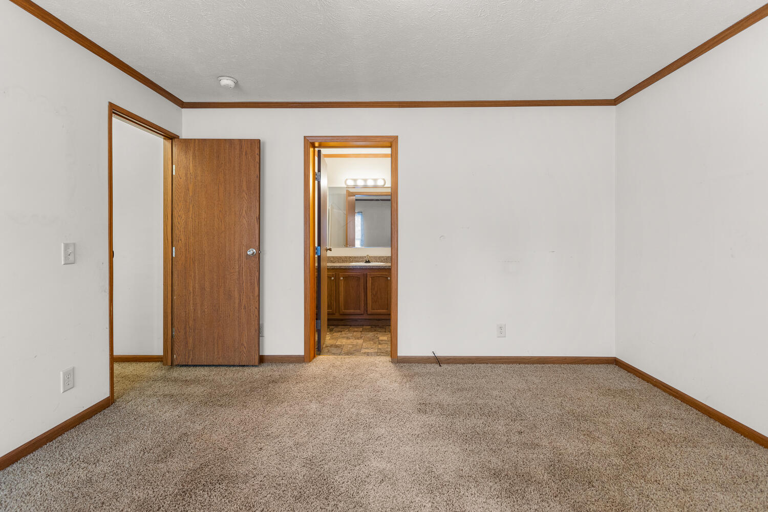 1101 James Court Mahomet, IL 61853 - Photo 14 of 27