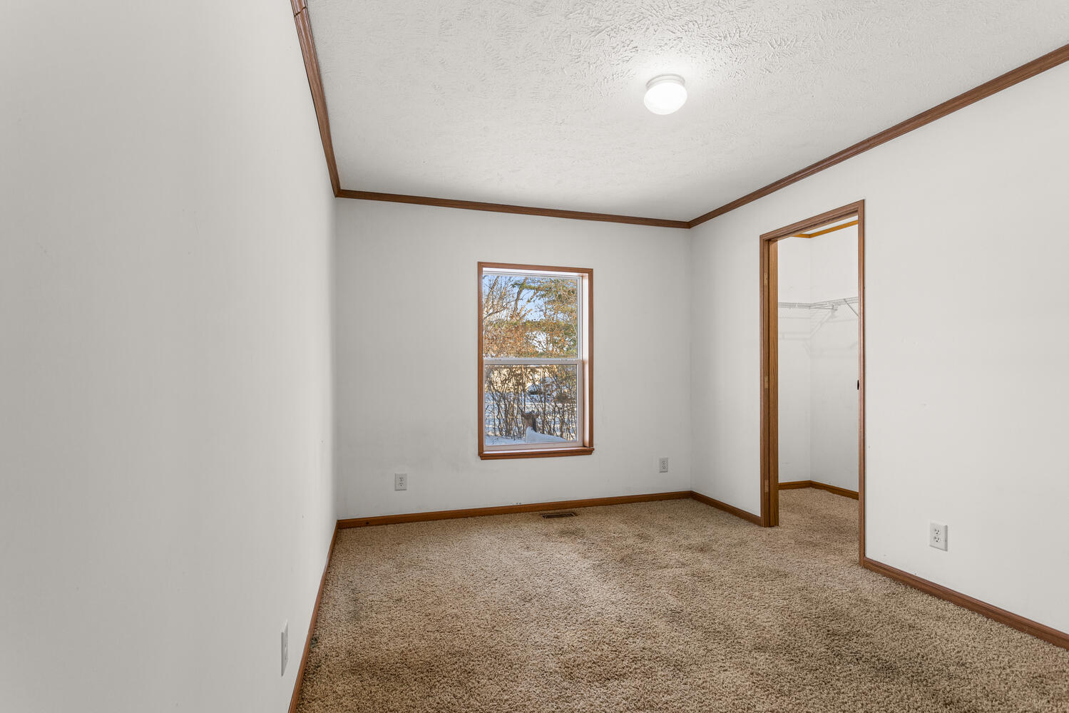 1101 James Court Mahomet, IL 61853 - Photo 20 of 27