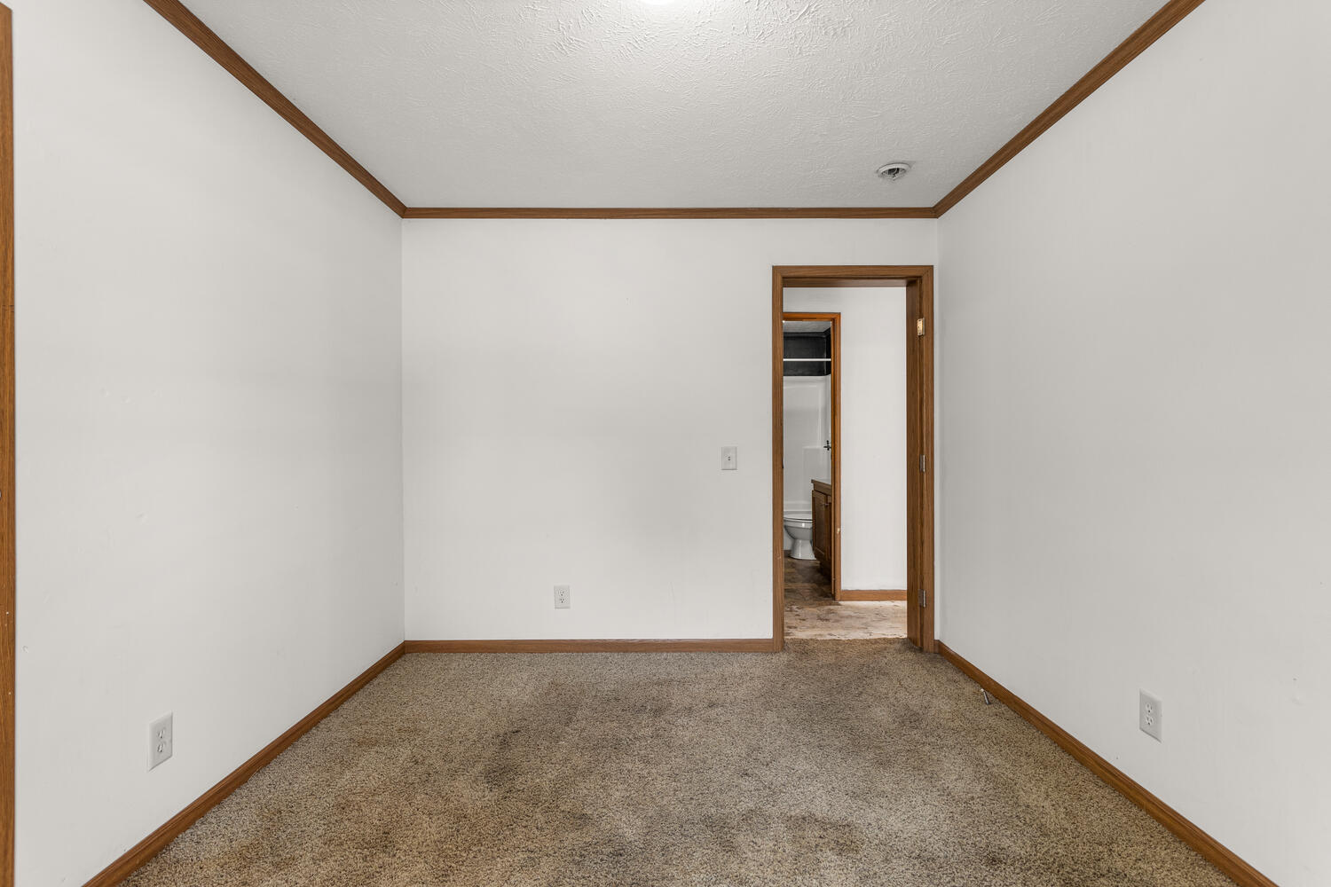 1101 James Court Mahomet, IL 61853 - Photo 21 of 27