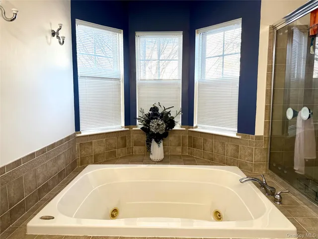 a bathroom with a tub and a shower