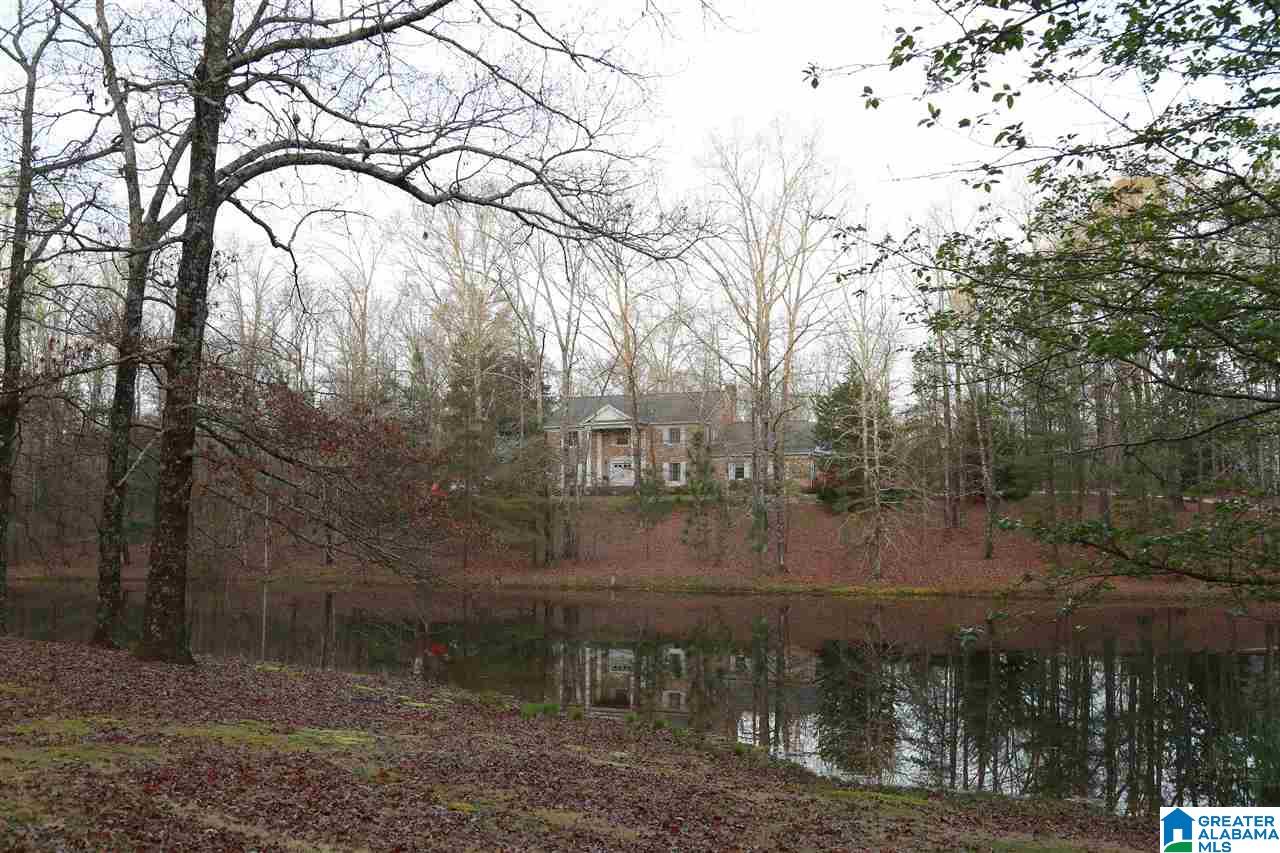 3127 North Walston Bridge Road Jasper, AL 35504 - Photo 10 of 34