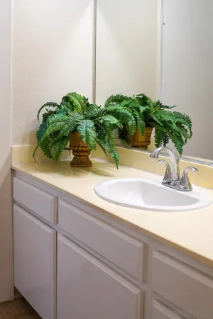 a sink with a potted plant on it