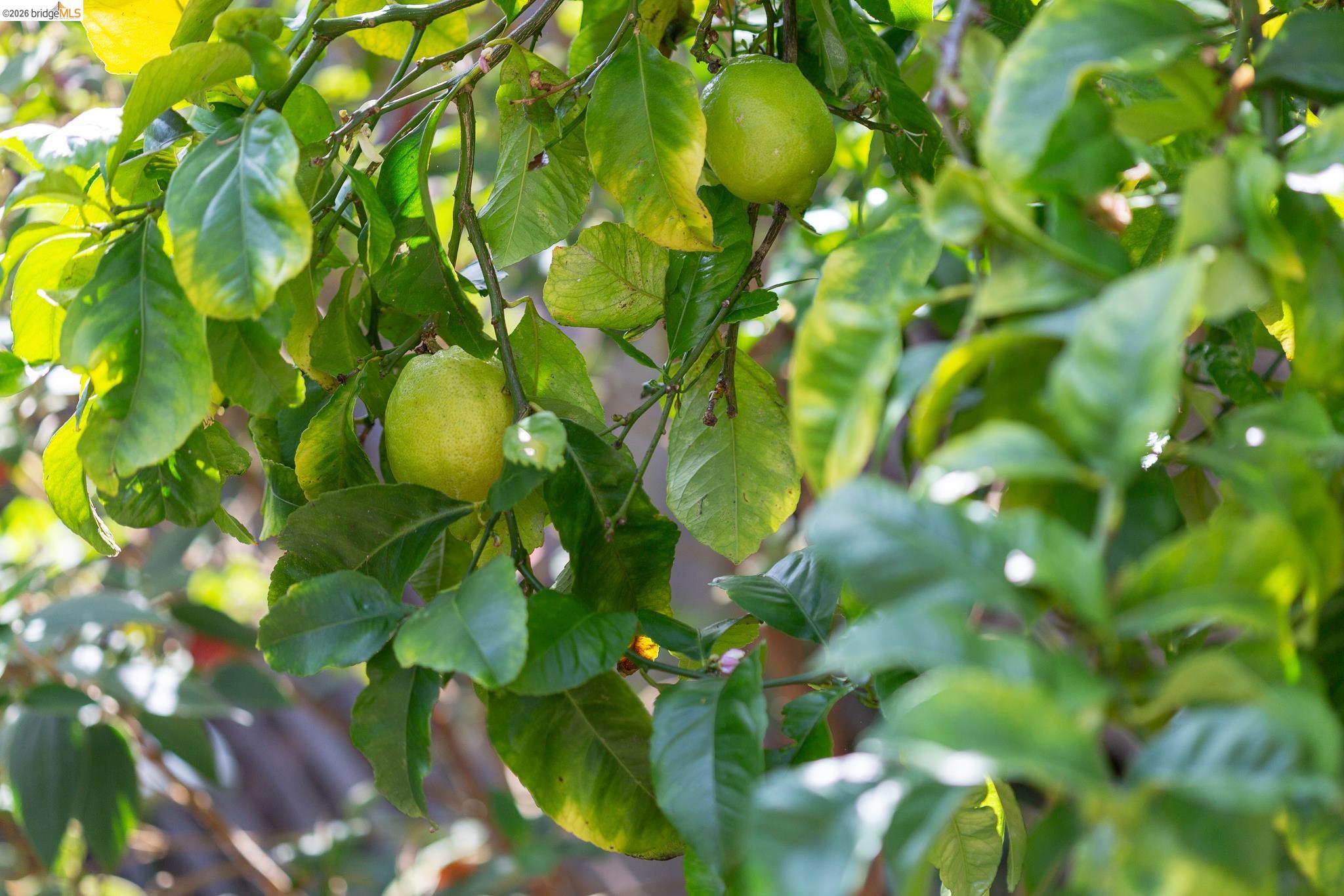 2802 Garber Street Berkeley, CA 94705 - Photo 30 of 38