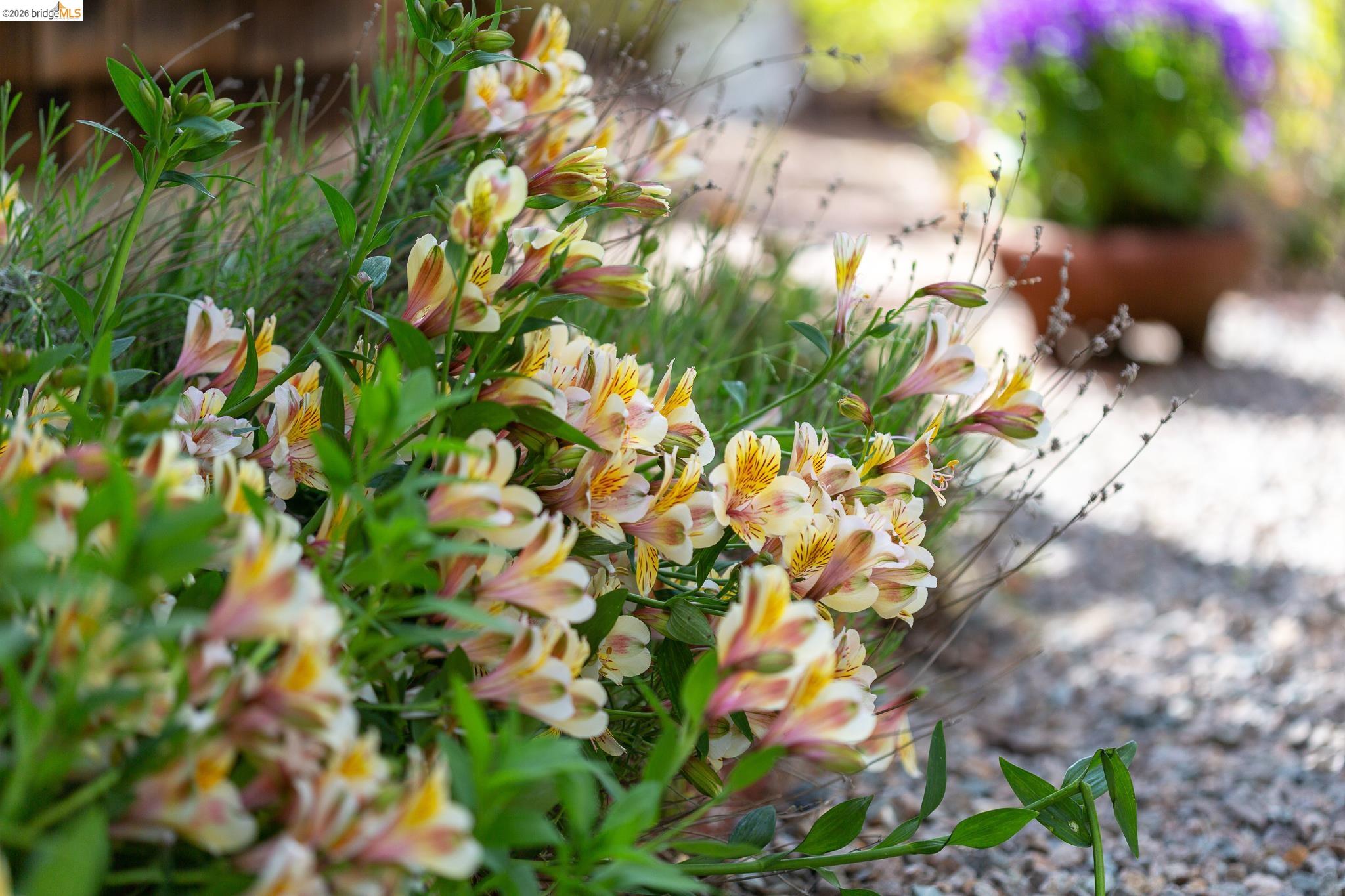 2802 Garber Street Berkeley, CA 94705 - Photo 33 of 38