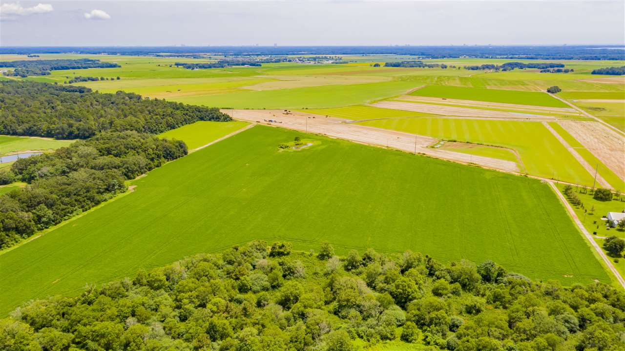 0 East Bay Road Foley, AL 36535 - Photo 5 of 10