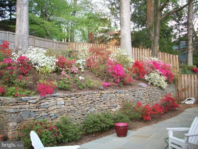 6705 Rannoch Road Bethesda, MD 20817 - Photo 8 of 15 Terrace abundant with flowers in the Spring!