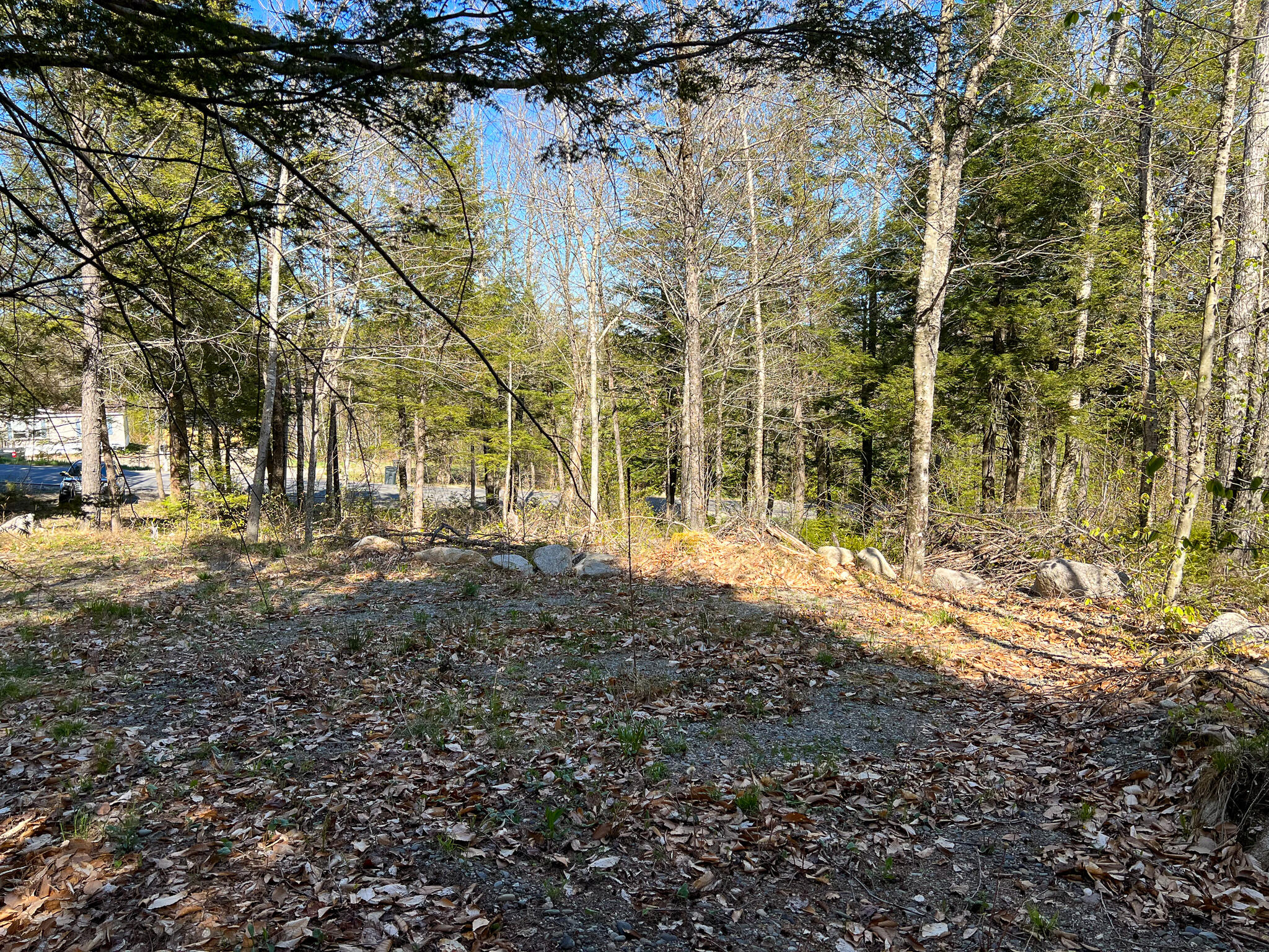 775 Transalpine Road Lincoln, ME 04457 - Photo 10 of 12 IMG_5780