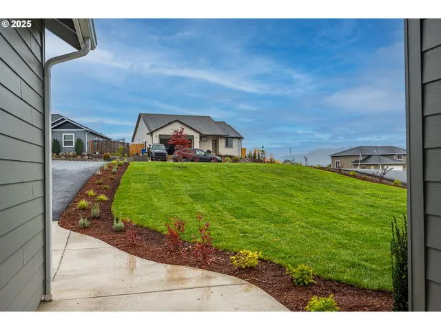 a view of a back yard of the house