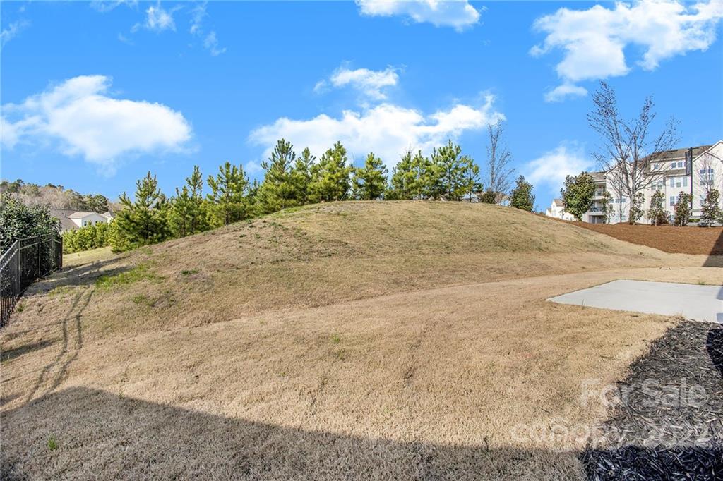 16004 Deer River Road Charlotte, NC 28278 - Photo 31 of 33