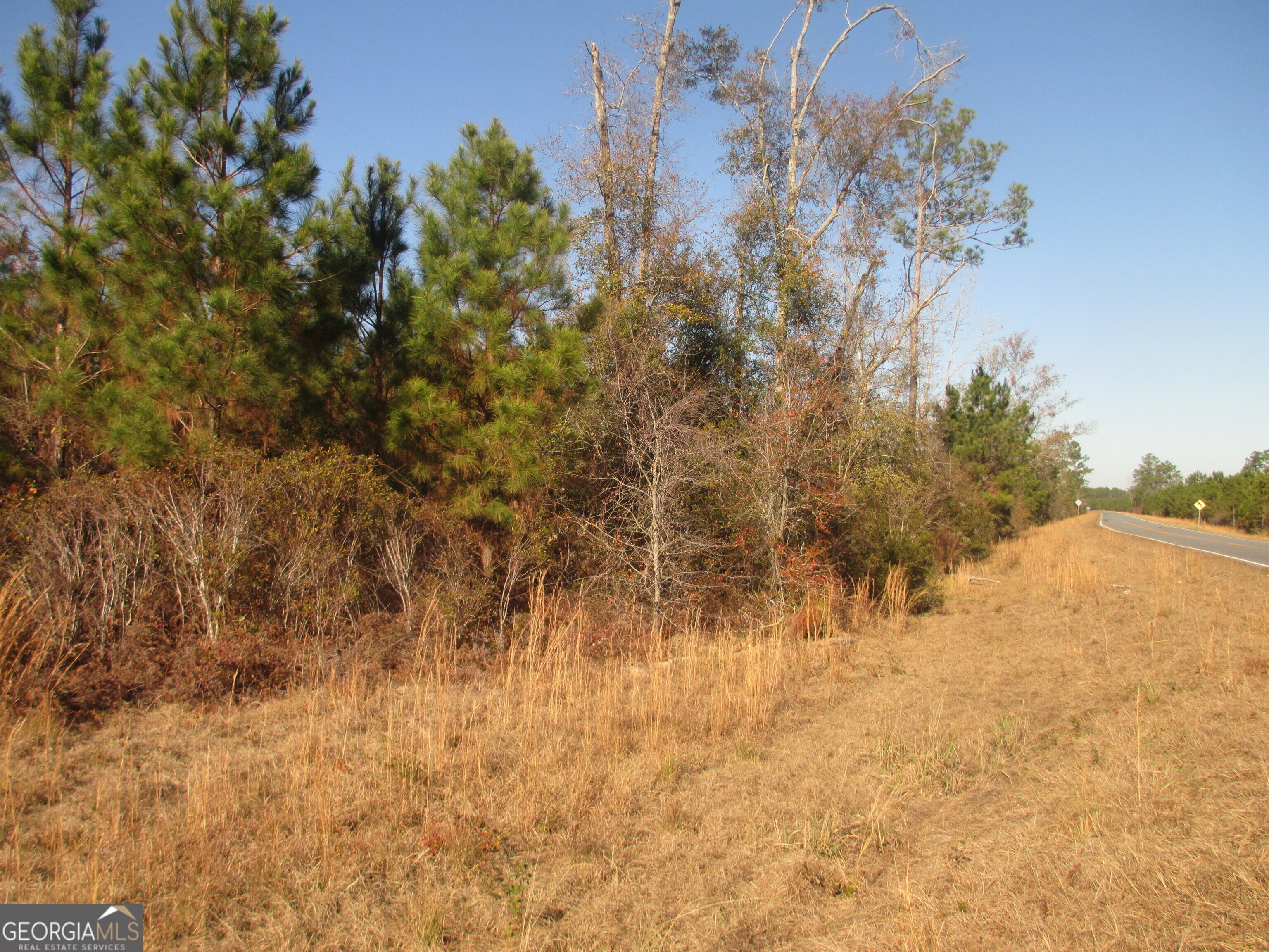 88-003a Pine Level Church Road Alma, GA 31539 - Photo 3 of 19 a view of a yard with a tree