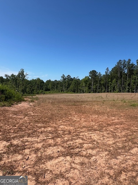 4348 Marshall Stewart Road Southwest Crawfordville, GA 30631 - Photo 104 of 120