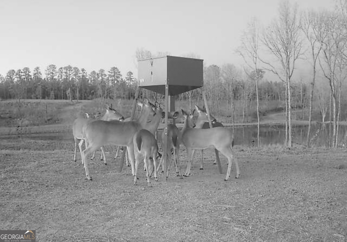 4348 Marshall Stewart Road Southwest Crawfordville, GA 30631 - Photo 66 of 120