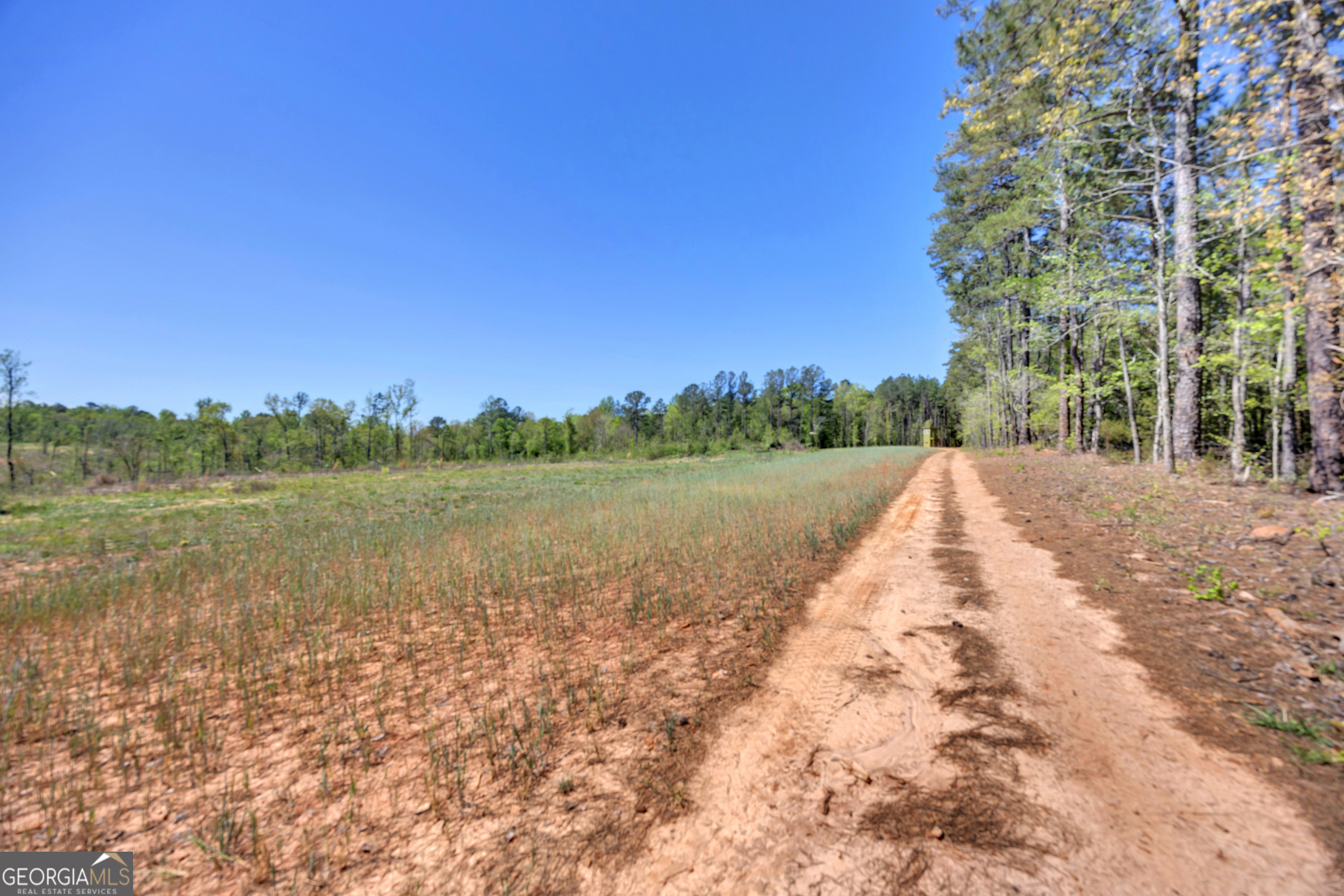 4348 Marshall Stewart Road Southwest Crawfordville, GA 30631 - Photo 71 of 120 a view of lake with green space