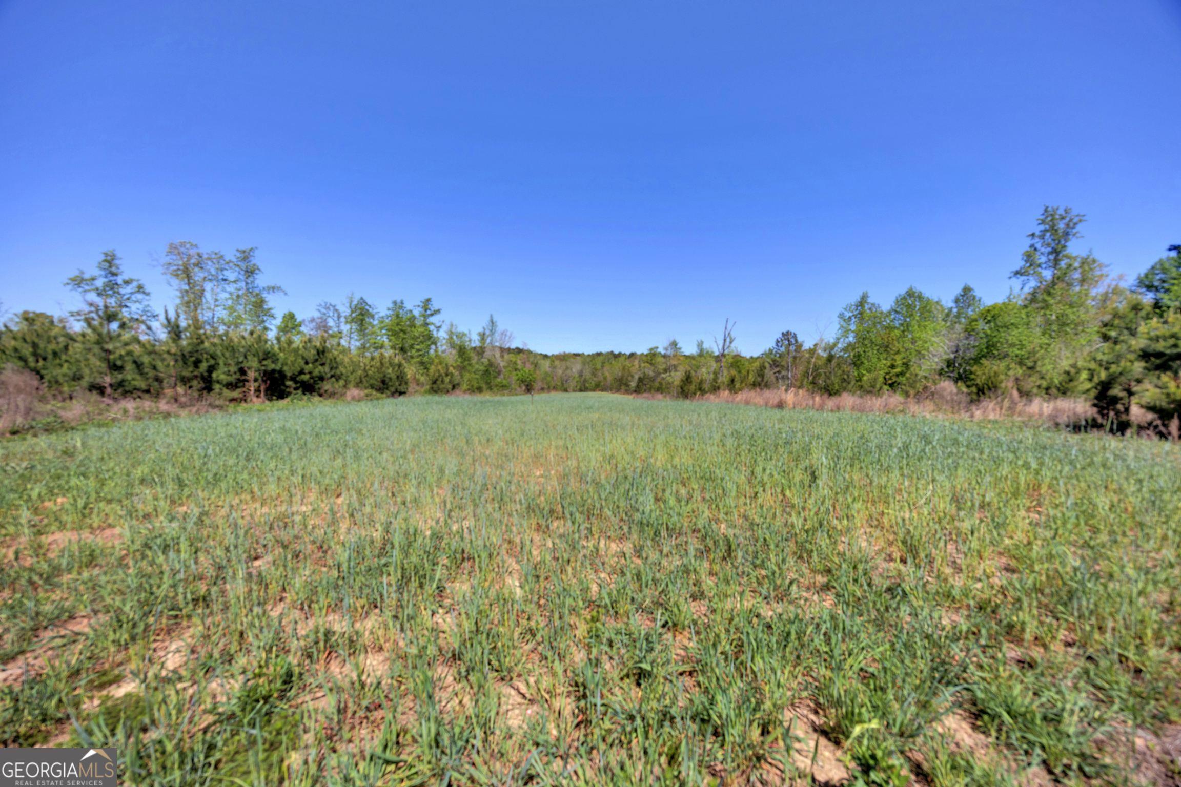 4348 Marshall Stewart Road Southwest Crawfordville, GA 30631 - Photo 72 of 120