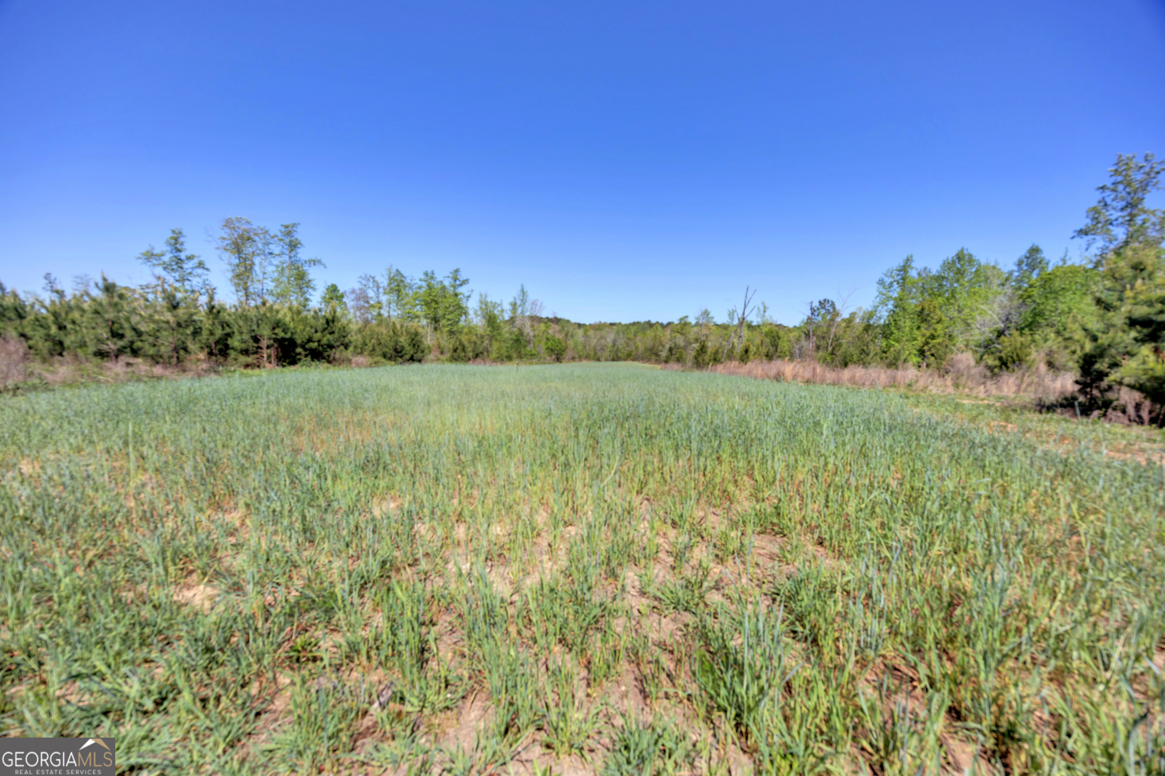 4348 Marshall Stewart Road Southwest Crawfordville, GA 30631 - Photo 75 of 120