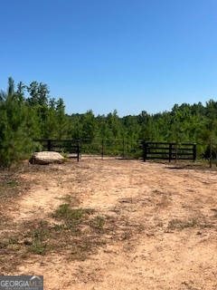 4348 Marshall Stewart Road Southwest Crawfordville, GA 30631 - Photo 86 of 120