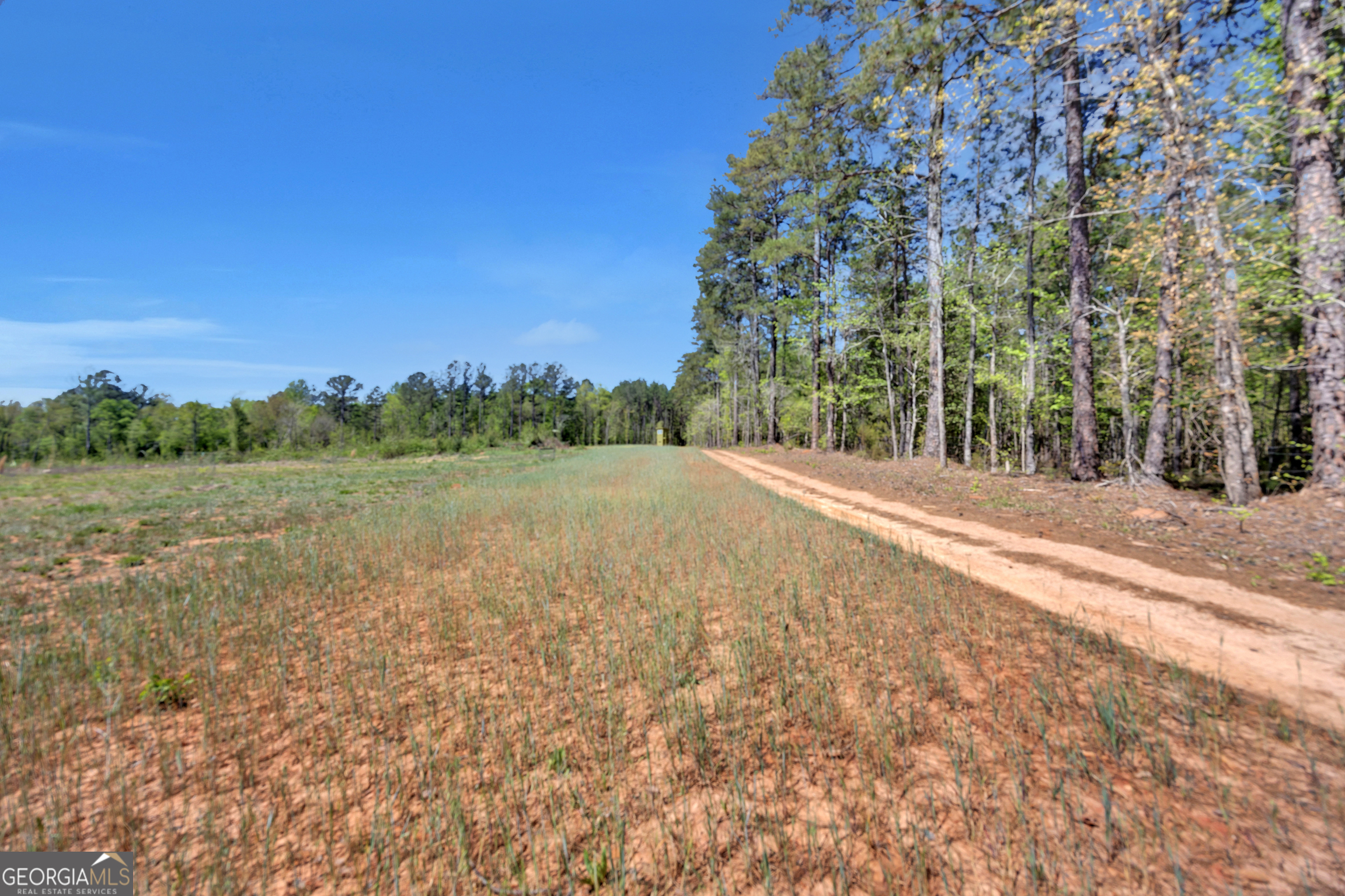 4348 Marshall Stewart Road Southwest Crawfordville, GA 30631 - Photo 87 of 120 a view of a field with trees in background