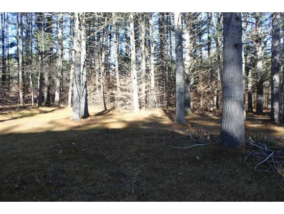115 Maple Road Tamworth, NH 03886 - Photo 10 of 12 Gallery Image 10