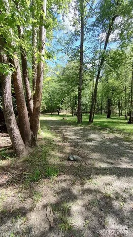 a big yard with lots of green space and trees