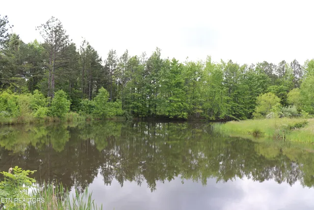 $799,900 | 187 Grouse Lane, Pioneer, TN 37847