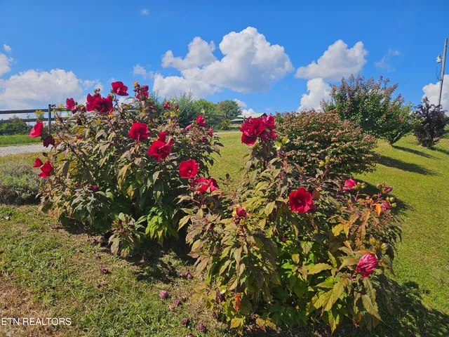 $799,900 | 187 Grouse Lane, Pioneer, TN 37847