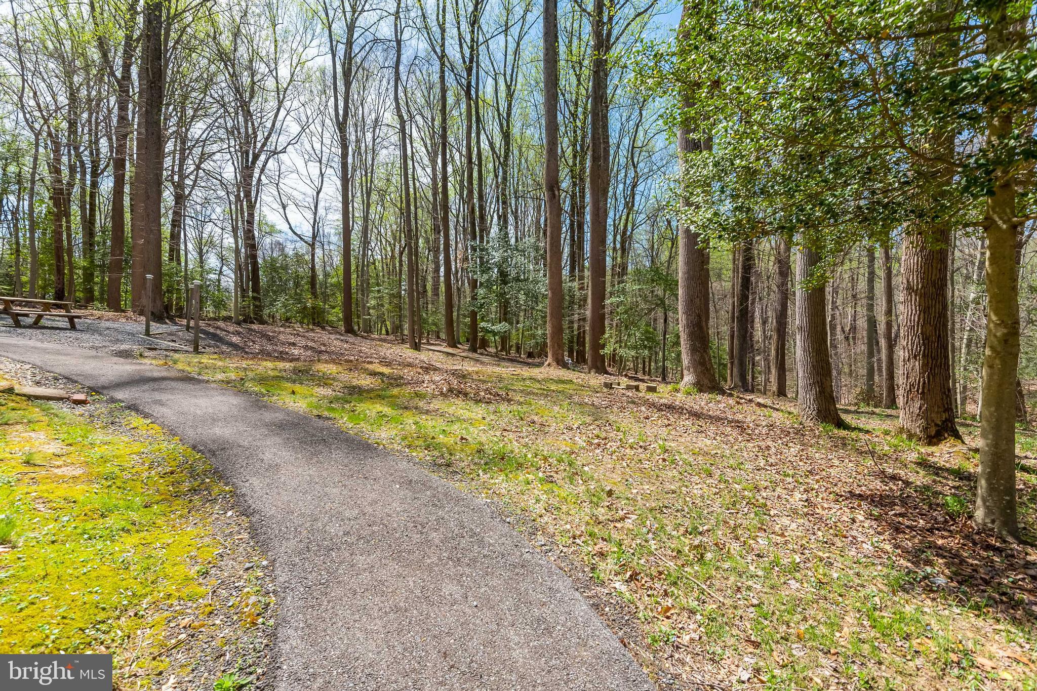 997 Chesterfield Road Annapolis, MD 21401 - Photo 11 of 69 BREATHTAKING VIEW OF THE LOT