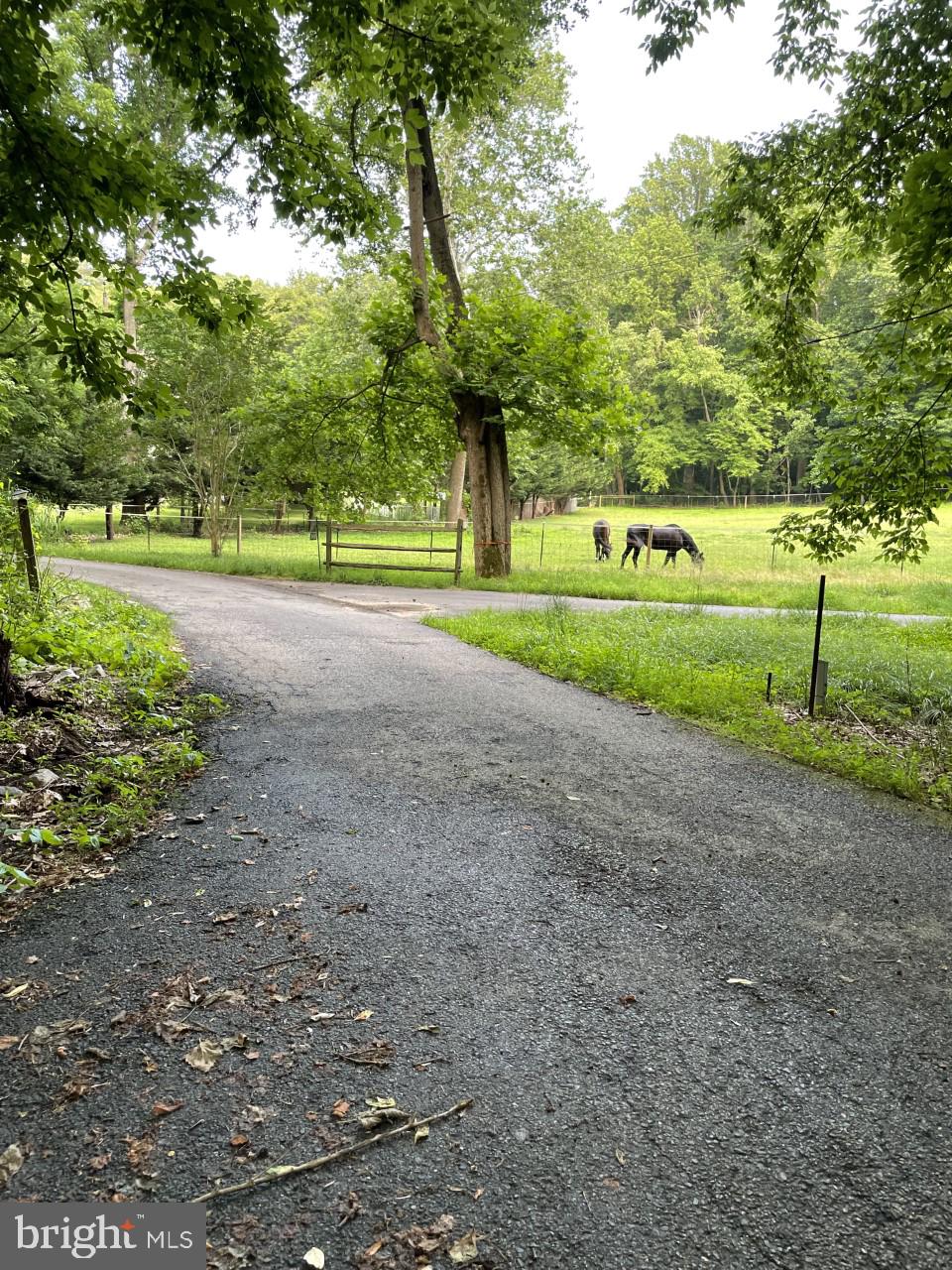 997 Chesterfield Road Annapolis, MD 21401 - Photo 3 of 69 shared driveway to house