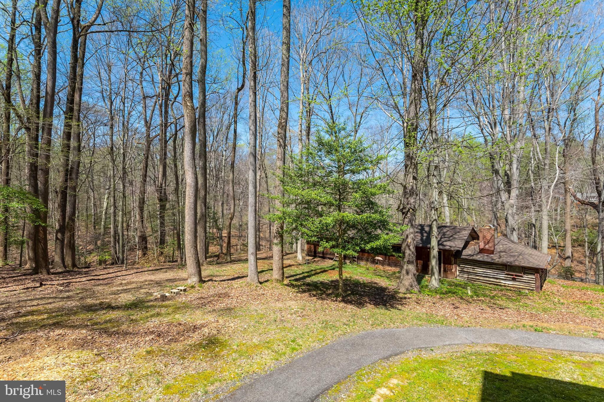 997 Chesterfield Road Annapolis, MD 21401 - Photo 48 of 69 nature walkways on lot