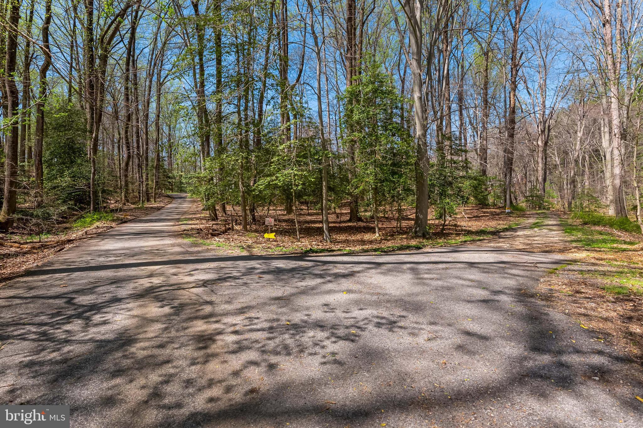 997 Chesterfield Road Annapolis, MD 21401 - Photo 53 of 69 2 DRIVEWAYS TO HOUSE