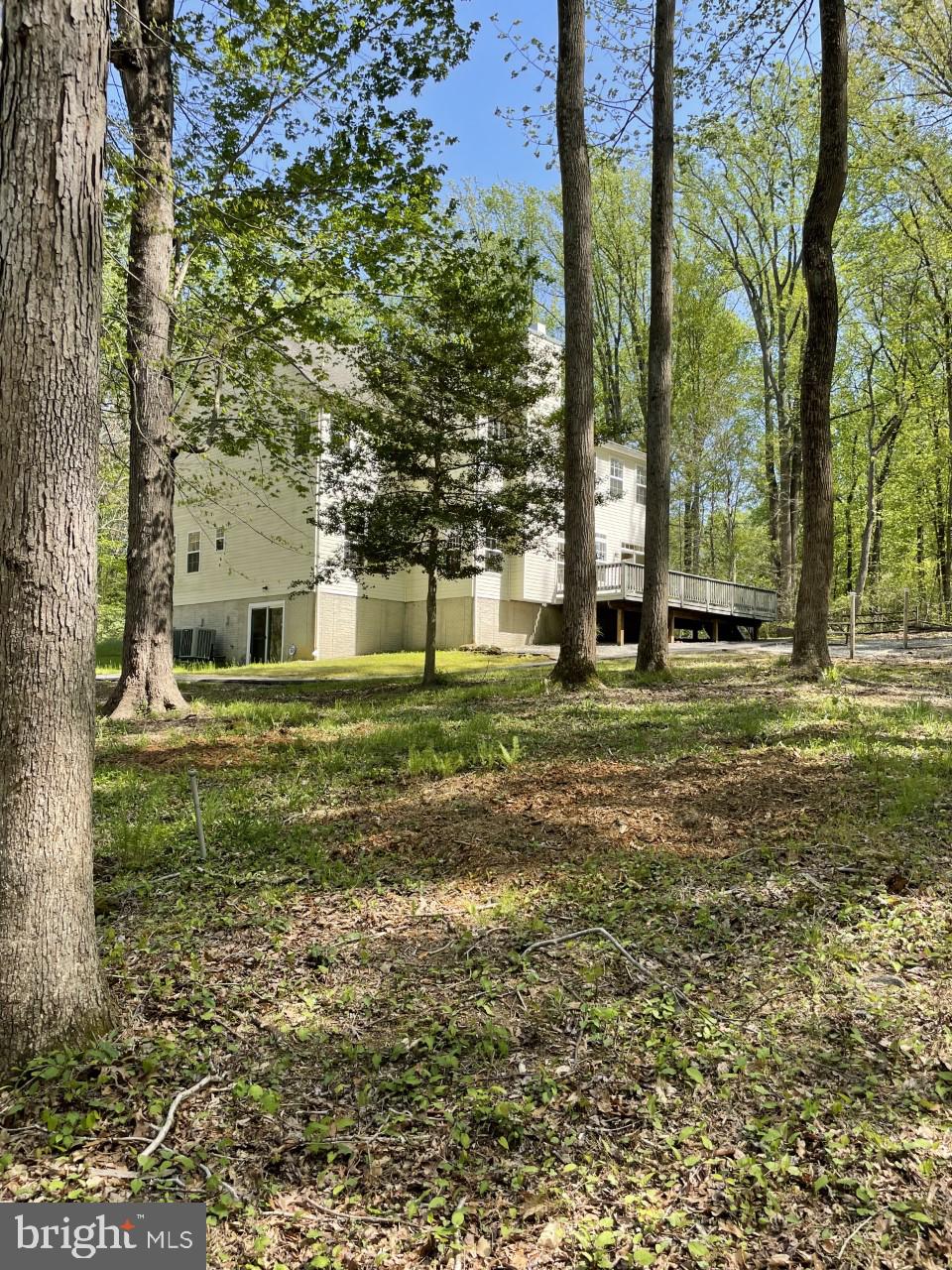 997 Chesterfield Road Annapolis, MD 21401 - Photo 56 of 69 BEAUTIFUL YARD