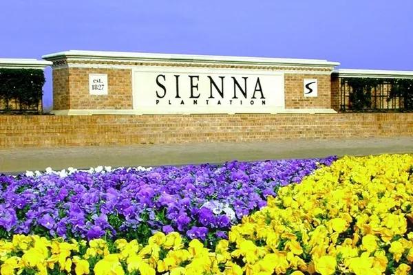 a view of a bunch of flowers