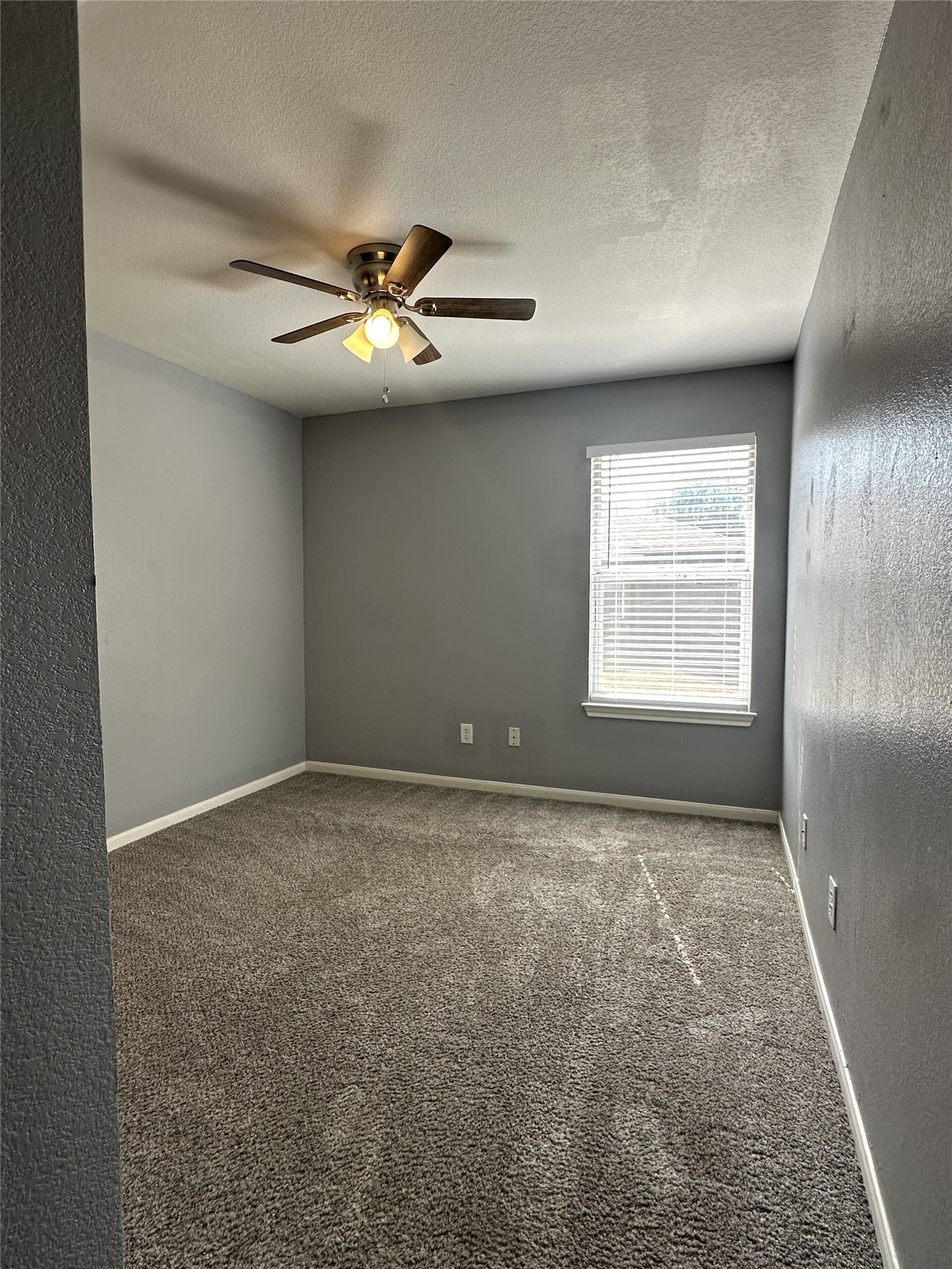 722 Ranier Lane Round Rock, TX 78665 - Photo 12 of 24 Plush carpeting and a classic sash window define this versatile secondary bedroom space.