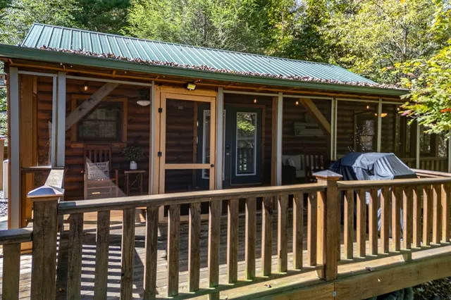 a view of a forest with mountains in the background