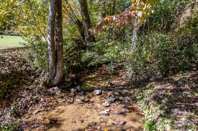 a view of city and mountain