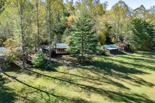 a view of a mountain with a tree in the background
