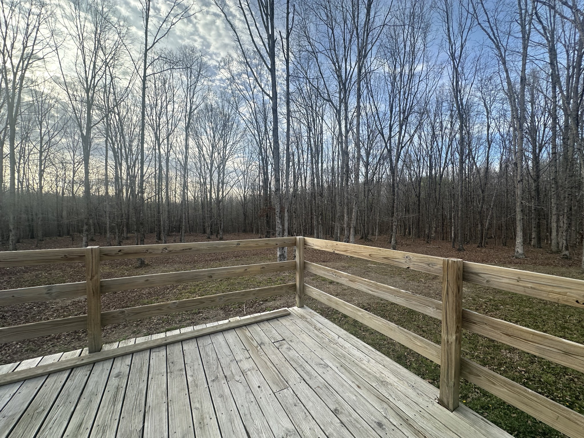 145 Eaglet Road Summertown, TN 38483 - Photo 4 of 23