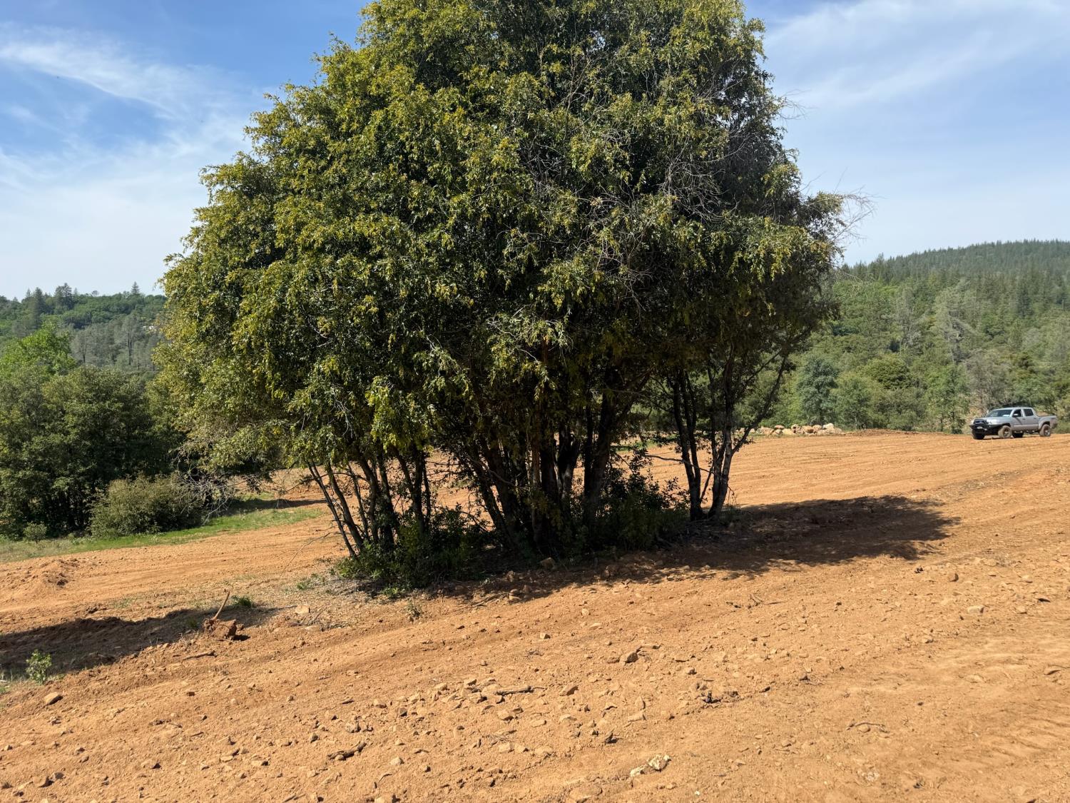 0 Greenbush Road Oroville, CA 95966 - Photo 7 of 16