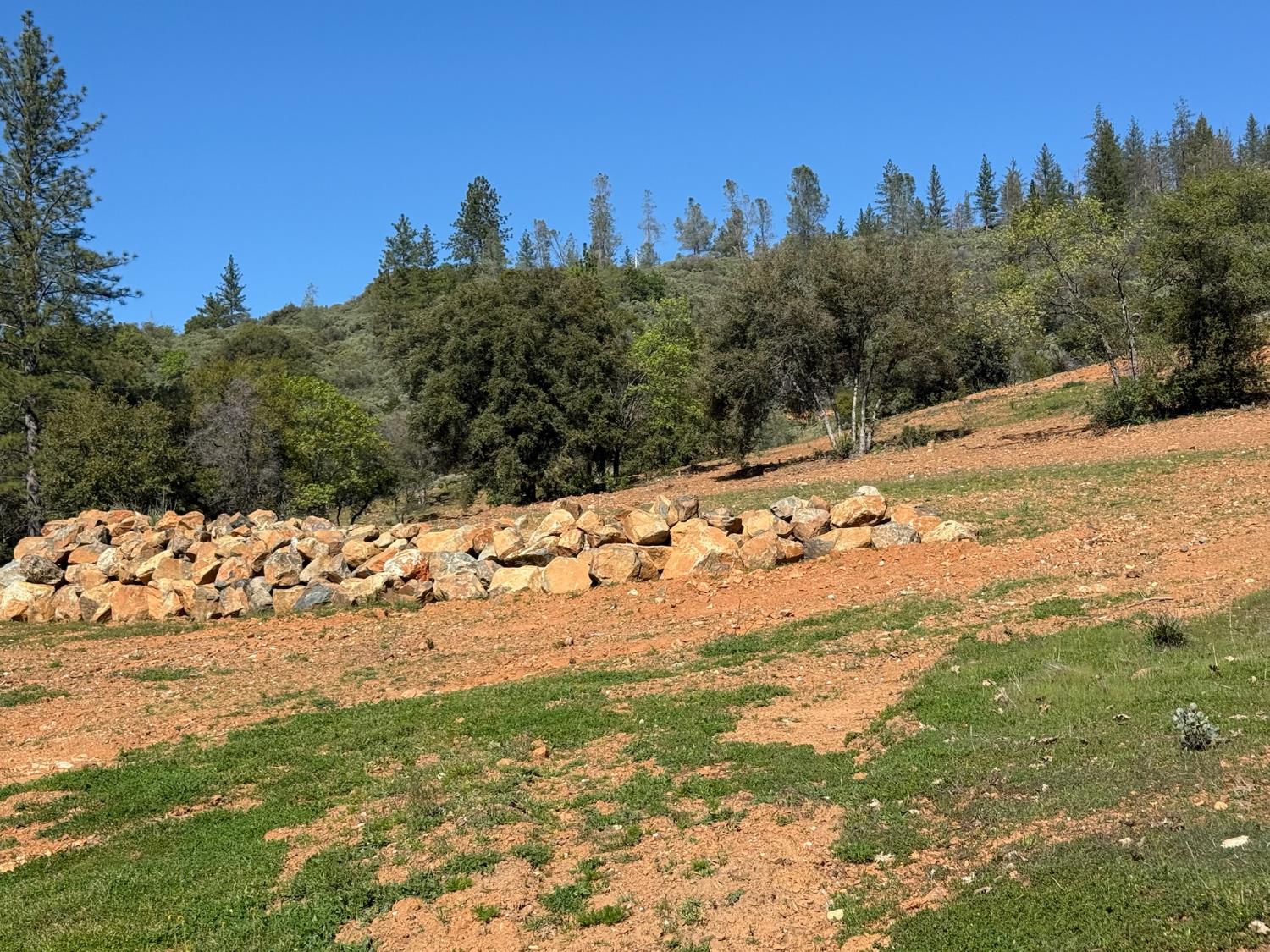 0 Greenbush Road Oroville, CA 95966 - Photo 9 of 16