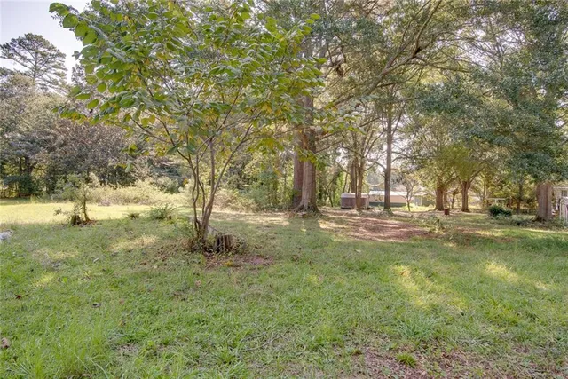 a view of yard with trees