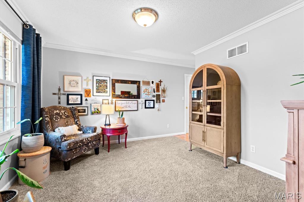 536 Mercer Court O'Fallon, IL 62269 - Photo 14 of 53