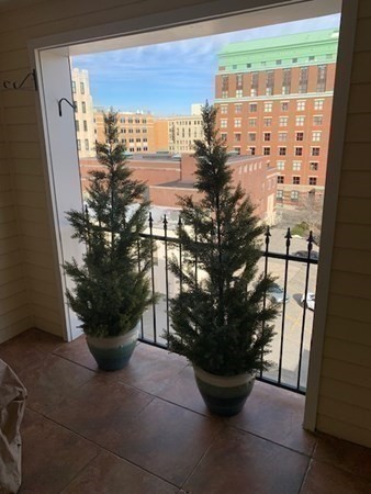 44 Elm Street, Unit 518 Worcester, MA 01609 - Photo 20 of 20 a view of a potted plant sitting in front of a door