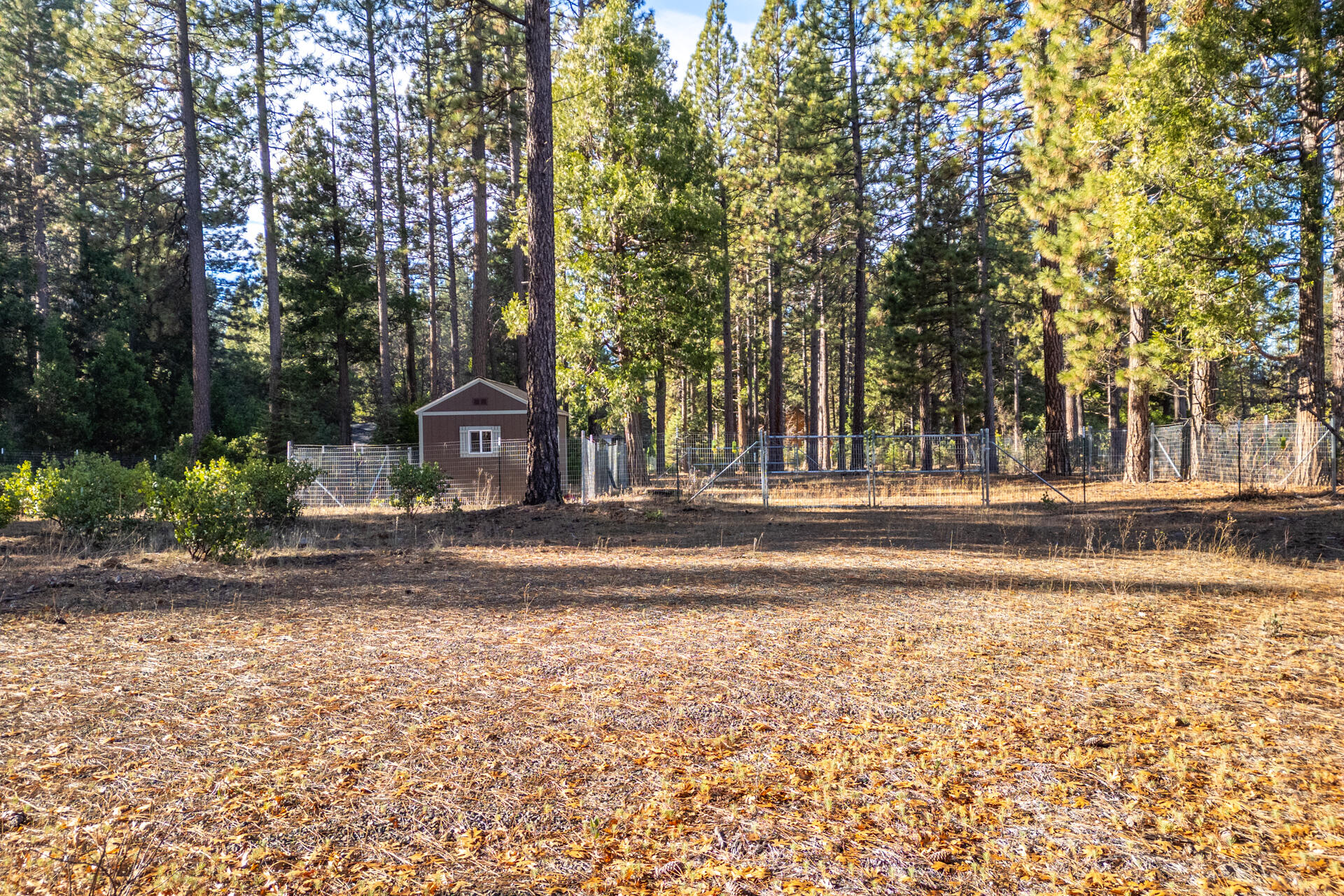 Serpentine Lane Burney, CA 96013 - Photo 3 of 13 DJI_0382-HDR