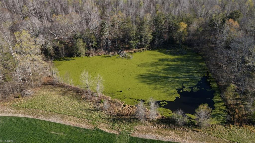 1337 Candy Creek Road Reidsville, NC 27320 - Photo 21 of 22 Gallery Image 21